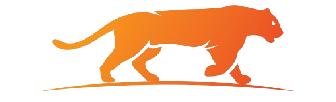 BIGCAT LOGO
